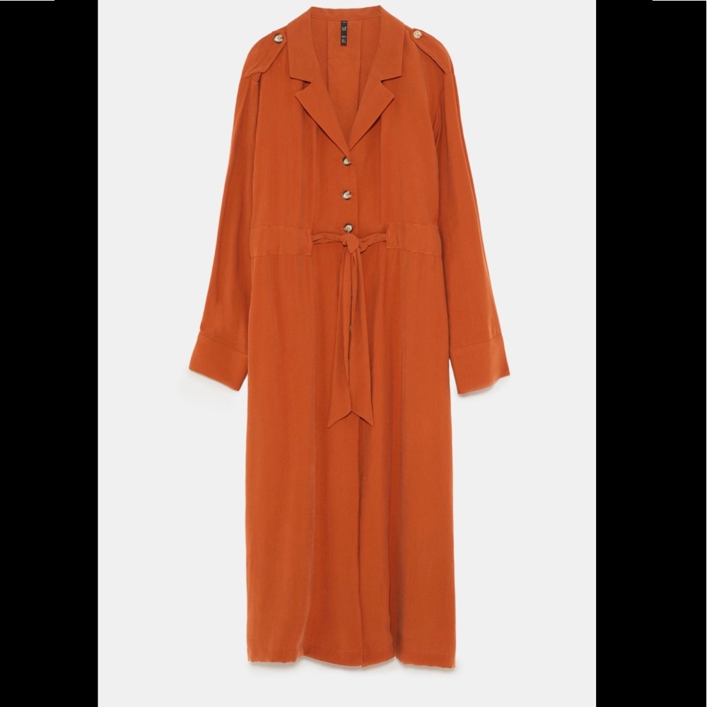 Zara Dress - Picture 2 of 12